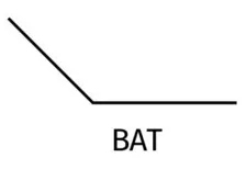 foto bat